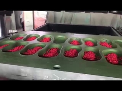 Высококачественный материал EVA Красочный гранул пеллет Изготовление обуви